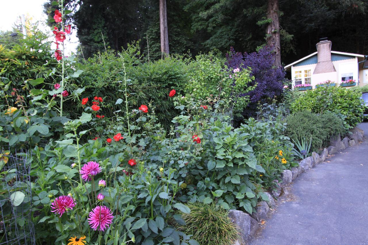 Fern Grove Cottages Guerneville Luaran gambar