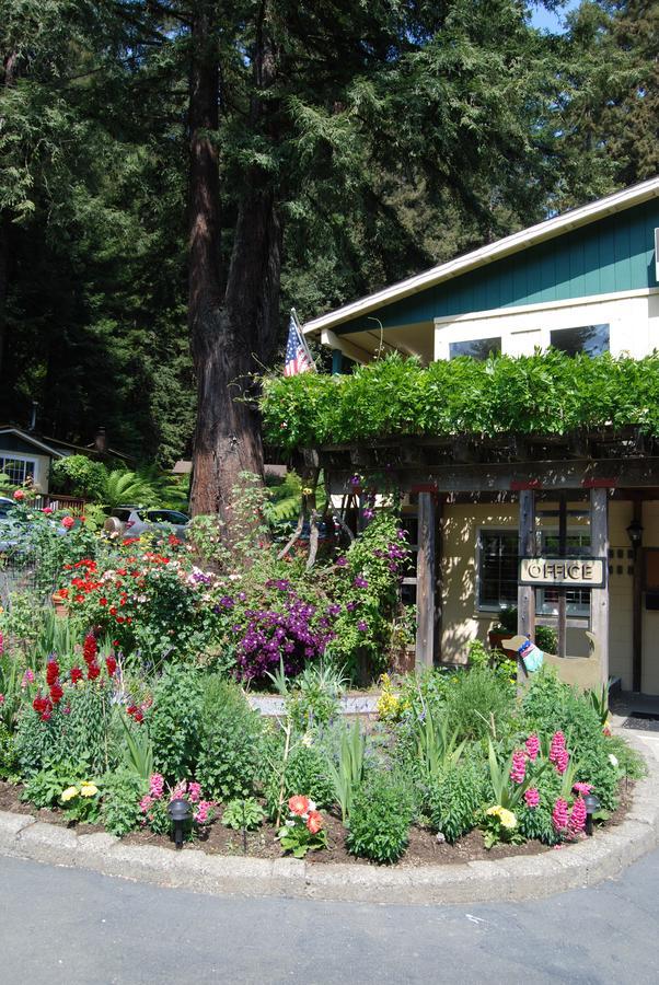 Fern Grove Cottages Guerneville Luaran gambar