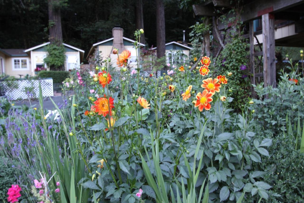 Fern Grove Cottages Guerneville Luaran gambar